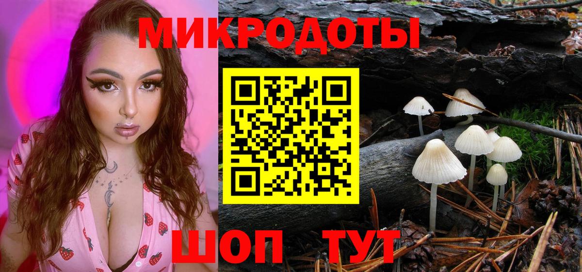 Галлюциногенные грибы Cubensis Миллерово