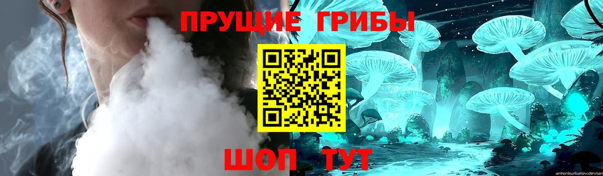 Миллерово  Галлюциногенные грибы мицелий  Вход с VPN  Псилоцибиновые грибы мицелий 